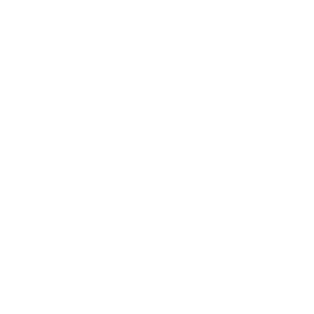 Clicking Speed Test Icon