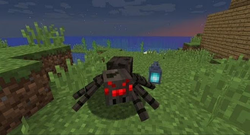 Spider Spawn in Minecraft