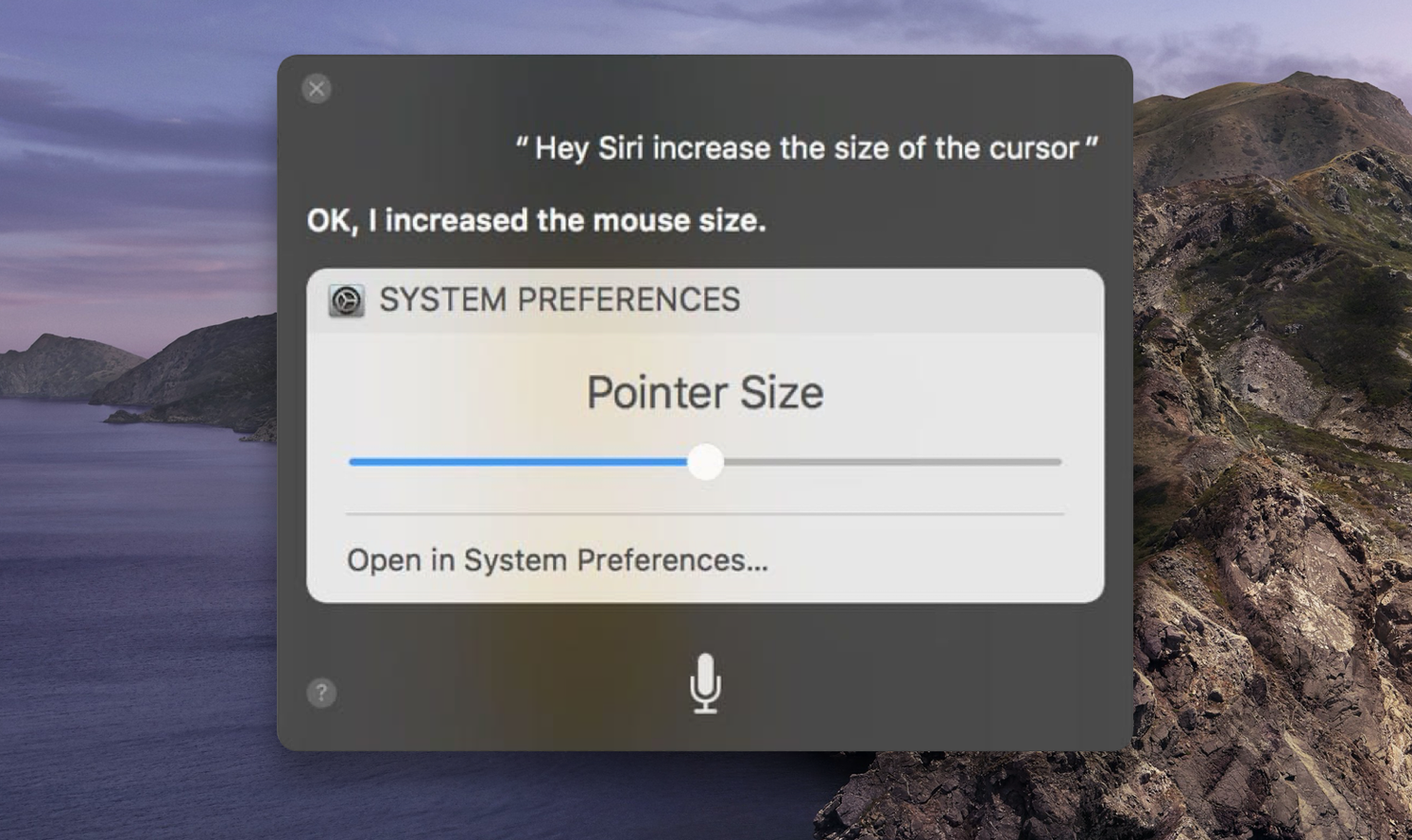 pointer size