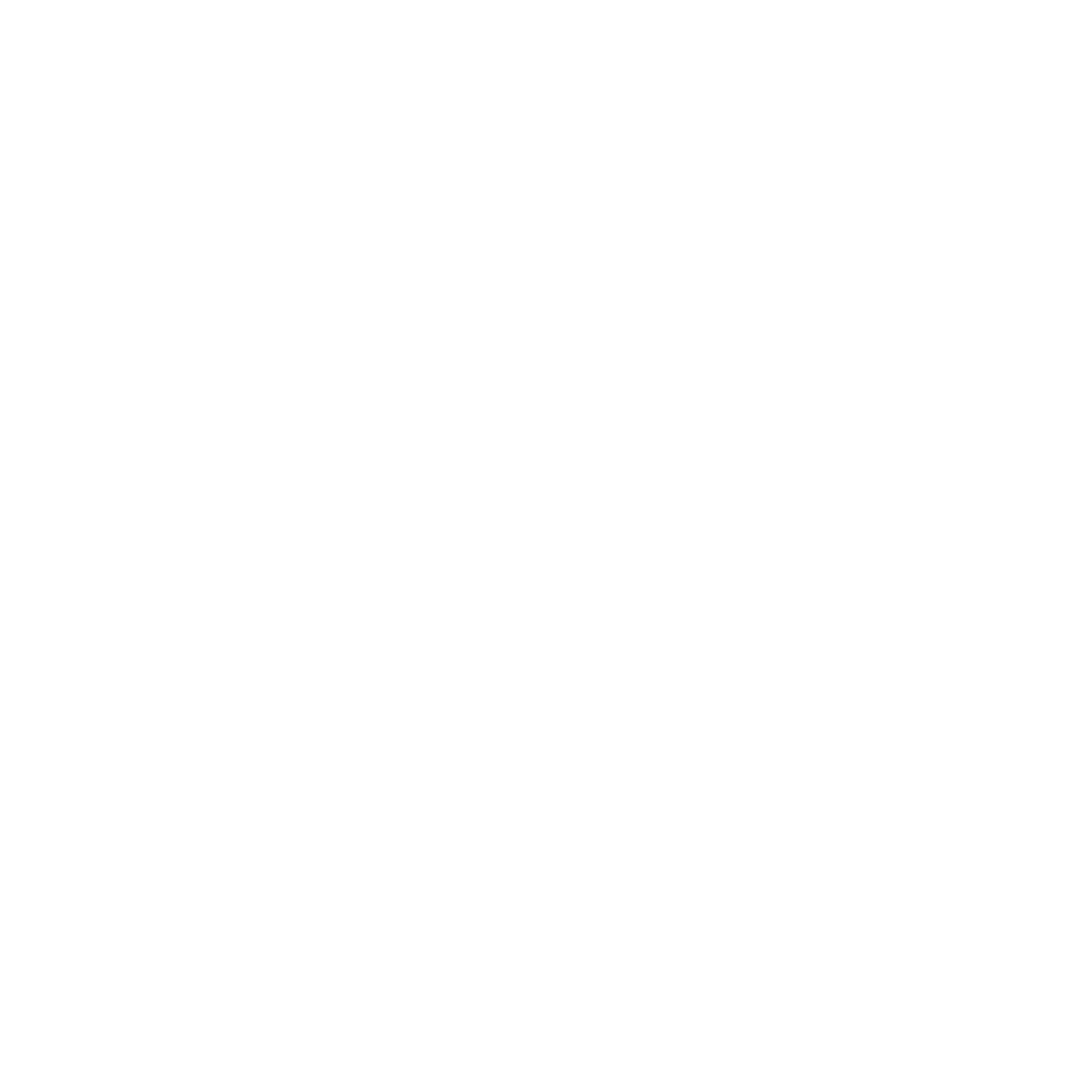 Exe File White Icon