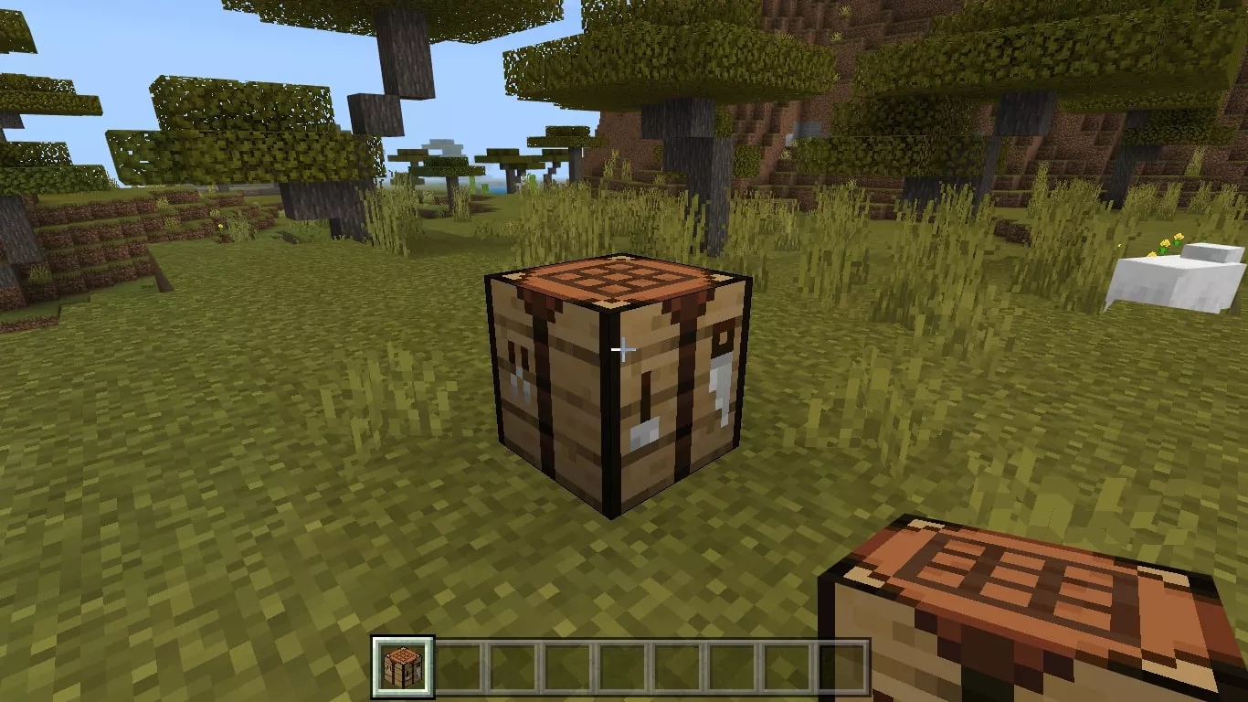 3. Put your crafting table on the ground and interact with it to open the 3X3 crafting grid